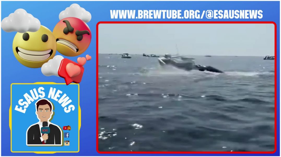 Whale caught on camera landing on boat in Massachusetts