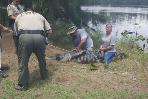 Alligator Kills 88-Year-Old Woman in South Carolina
